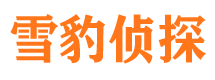 封丘找人公司